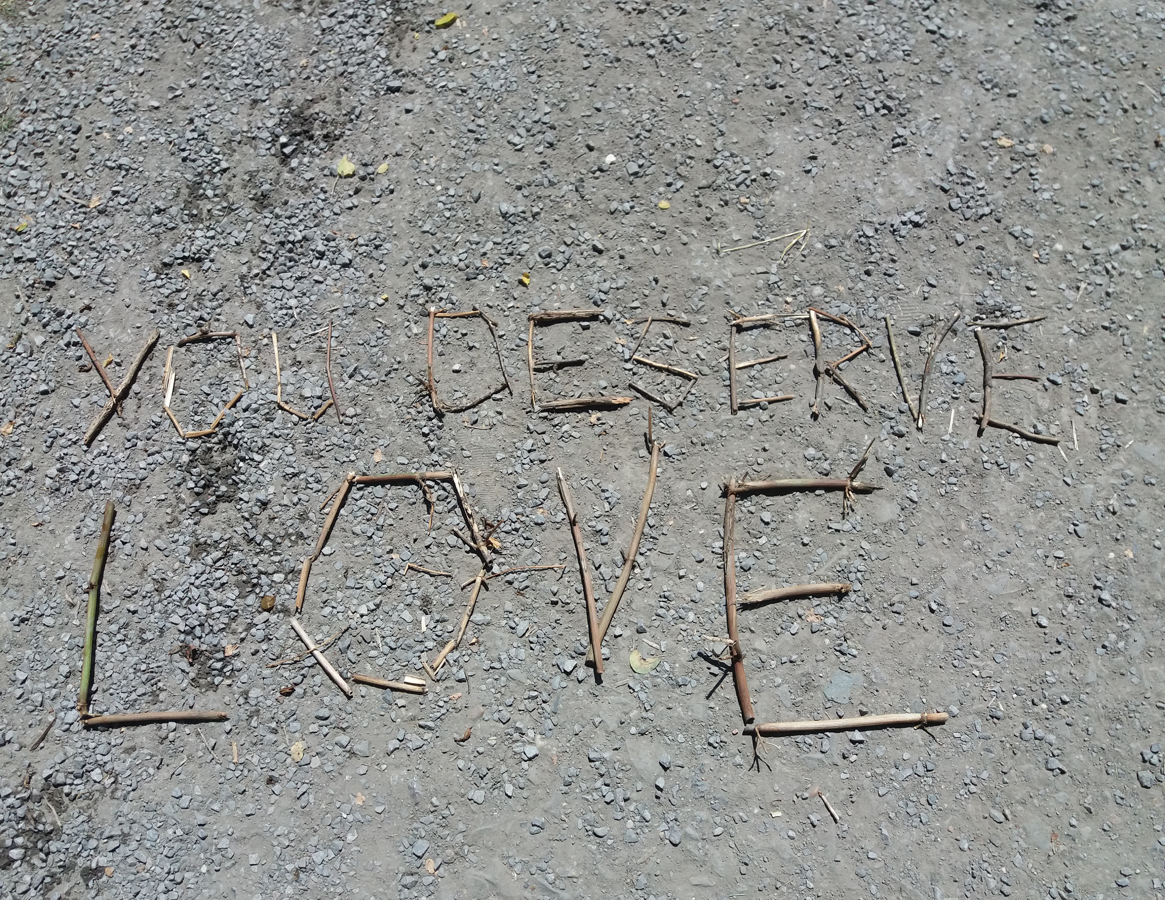you deserve love penny flowers